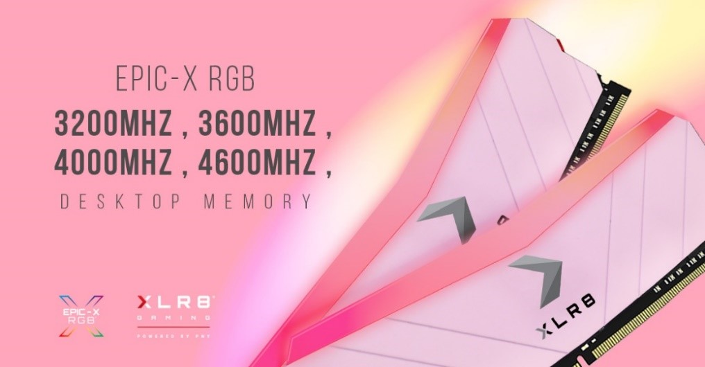 XLR8-RGB-DDR4-Desktop-Memory-Pink-Limited-Edition